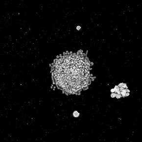 Jitish Kallat, Forensic Trail of the Grand Banquet, 2009, single channel video, Projection or screen, variable dimensions, ed 5 + 1AP, Courtesy Galerie Daniel Templon, Paris. © Jitish Kallat