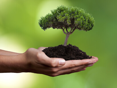 Sin sostenibilidad no hay futuro