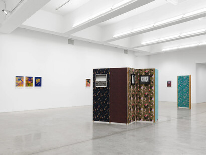 Lisa Oppenheim, Ourselves and the expression of ourselves, exhibition view. Courtesy of Tanya Bonakdar Gallery