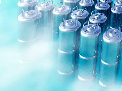 En España la ley no permite la congelación de personas, aunque existe la Sociedad Española de Criogenización desde 1998 que cuenta con unos 100 socios