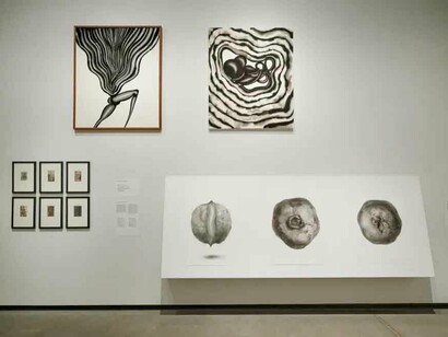 Various artists, Embodied thought, exhibition view. Courtesy of Latvian National Museum of Art