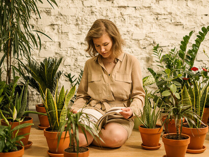 Plantes et nature. Le secret des plantes, s’il n’y en avait qu’un, serait leur alignement avec les cycles de la vie