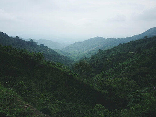 Apichatpong Weerasethakul + Hisakado Tsuyoshi. Courtesy of Mori Art Museum