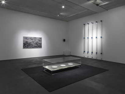 Hybrid Matter. Courtesy of Gallery Dittrich & Schlechtriem