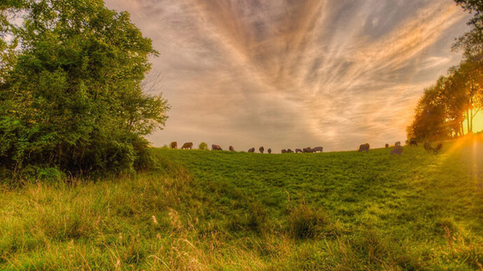Jerry Freedner, Farm Field 33, 2014, 12" X 18", archival pigment print on paper