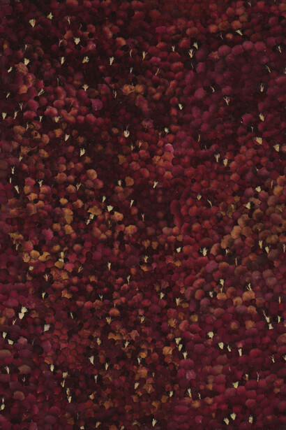 Marinette Cueco, Potagerie rosa, 2012. Avec l’aimable autorisation de Ceysson & Bénétière