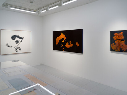 Nankoku Hidai and Shiryu Morita, exhibition view. Courtesy of Tokyo Gallery + BTAP