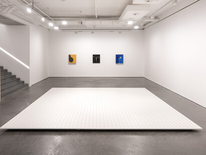 Kapwani Kiwanga, installation view. Courtesy of Goodman Gallery