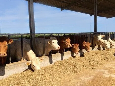 I gestori di un'azienda agricola hanno iniziato ad effettuare consegne a domicilio