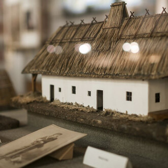 The plant kingdom. Courtesy of Museum and Library of Hungarian Agriculture