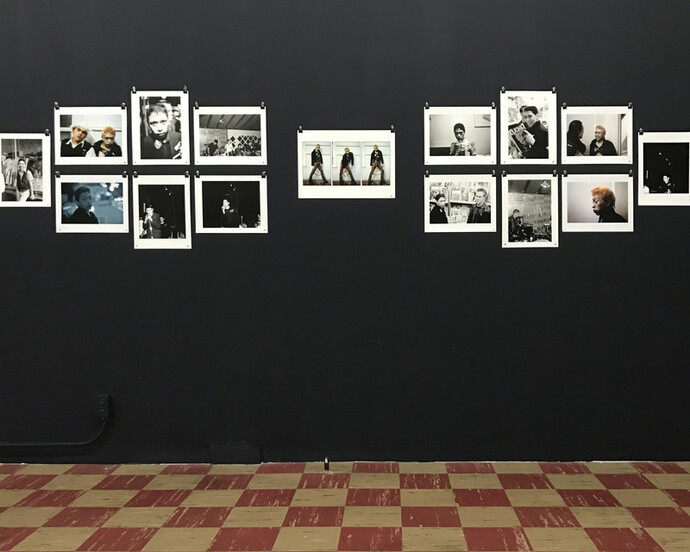 Nervously Engendered, Exhibition view. Courtesy of Coagula Curatorial