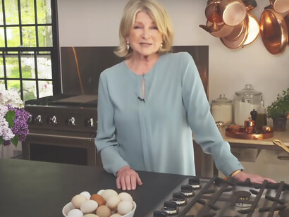 Martha Stewart in her exquisitely adorned kitchen, a masterpiece of tasteful decor and functionality