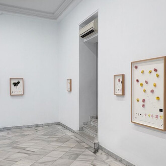 Alberto Baraya, Viaje a Galicia, vista de exhibición. Cortesía de la Galería Fernando Pradilla