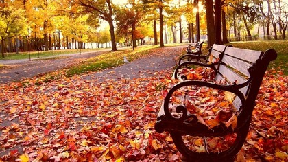 Escena de otoño