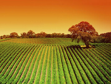 Nunca se llegó a un consenso sobre el desarrollo