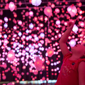 Pipilotti Rist. Courtesy of MFAH