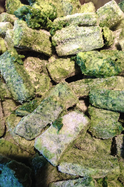 Mahtola Wittmer. Courtesy of Aargauer Kunsthaus