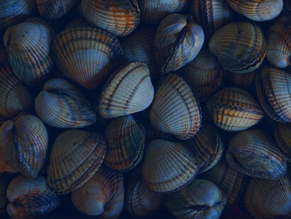 La diffusione di microplastiche nella catena alimentare ci sta esponendo in maniera crescente al pericolo di ingerire senza accorgercene frammenti che possono causare danni