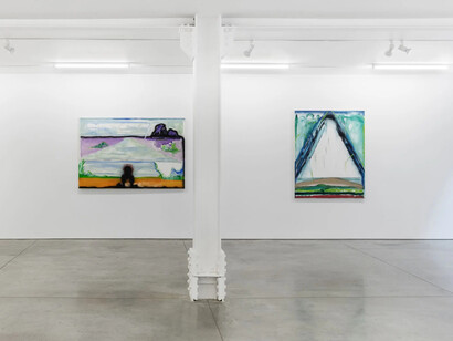 George Nelson Preston, Ayahuasca notebook paintings journeys and returns, exhibition view. Courtesy of Ryan Lee Gallery