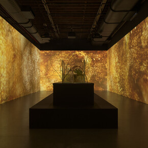 Tuomas A. Laitinen, Siphon, exhibition view. Courtesy of Pioneer Works
