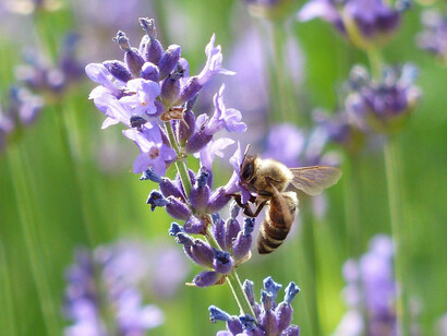 Nei cambi di stagione il fisico ha bisogno di essere rinnovato