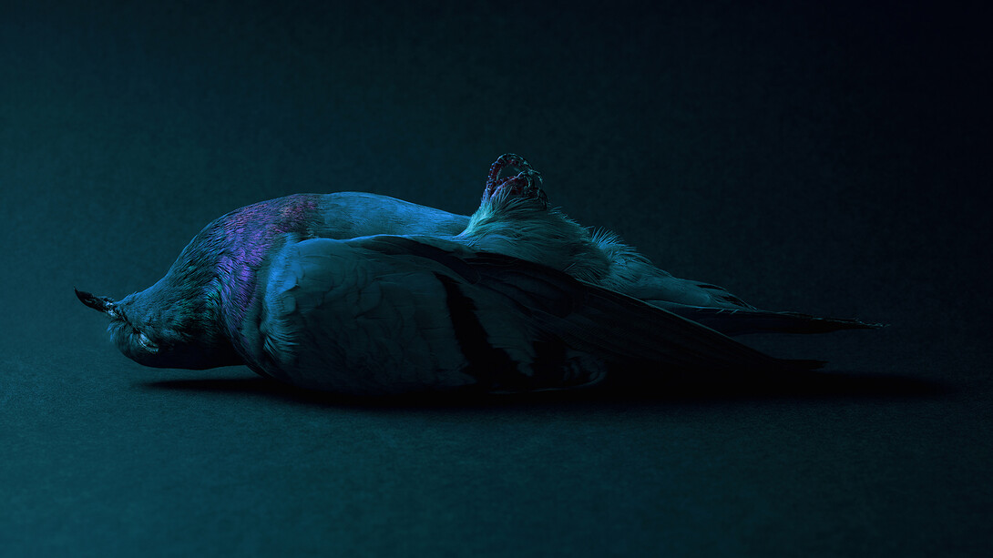 Theo Ellison, Entombment, 2017, C-type Lambda print 78x120 cm ©Theo Ellison, 2017 Image courtesy of the Saatchi Gallery, London