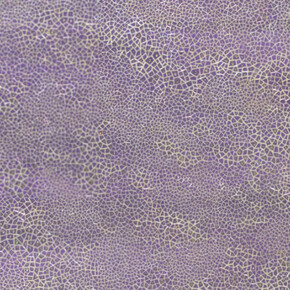 Elemental Abstractions. Courtesy of Blank Space