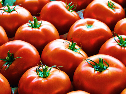 Pomodori