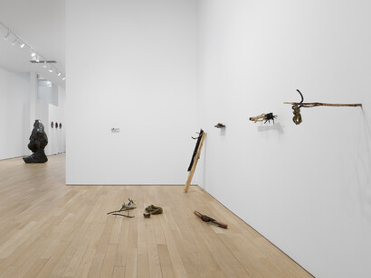 Installation View, Crude Gratitude, 2024. Photo by Inna Svyatsky. Courtesy of Bienvenu Steinberg & J
