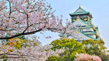 Osaka Castle Park during cherry blossom season, Osaka, Japan
