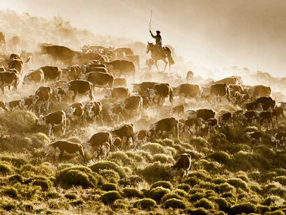 Aunque sector ganadero es uno de los más importantes de la economía nacional, muchos argentino se ven obligados a consumir carne de importación