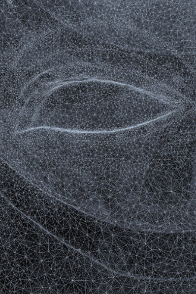 Not A Single Bone. Courtesy of Nome