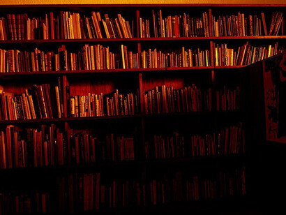 Lake Verea, Luis Barragán’s lifelong library (detail), 2011 - 2013. Mit freundlicher genehmigung der Zander Galerie