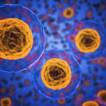 Prokaryotic cells