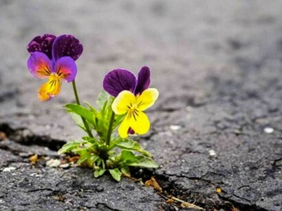 Les inondations jouent avec les sécheresses à qui fait plus de ravages