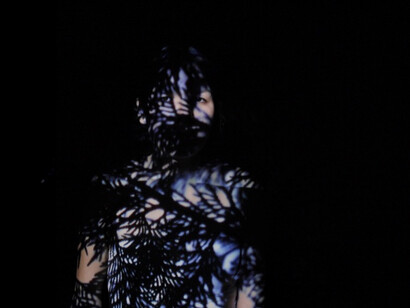 Kushapetshekan / Kosapitcikan. Courtesy of Montreal Museum of Fine Arts