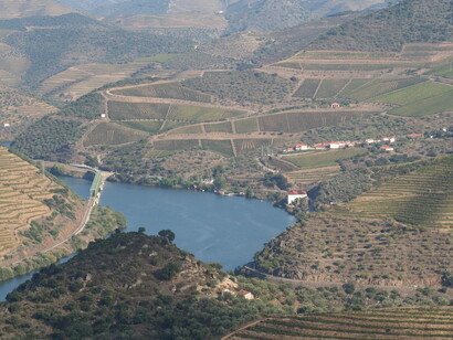 Alto Douro, panorama. Fotografia Sérgio Lira