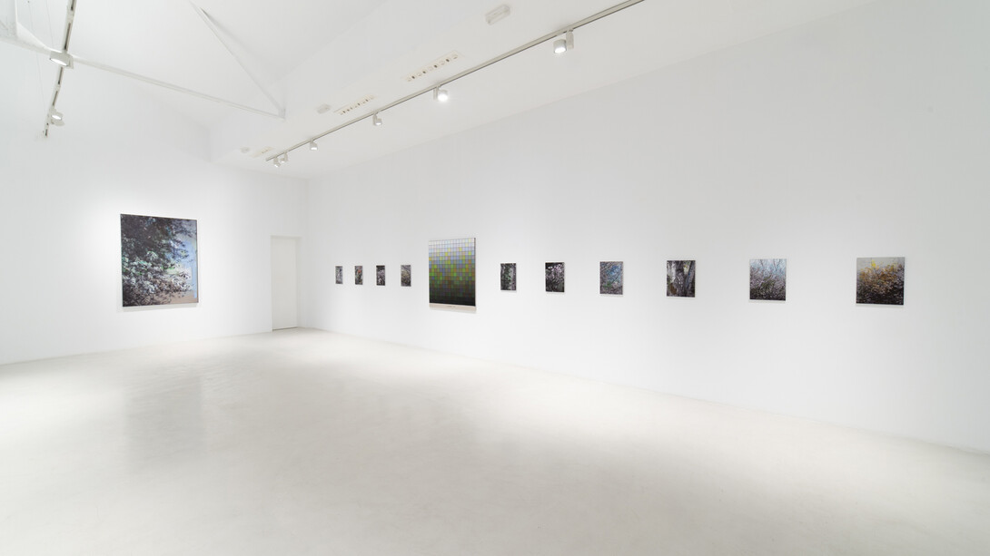 Stijn Cole, El tiempo suspendido, exhibition view. Courtesy of Galería Hilario Galguera