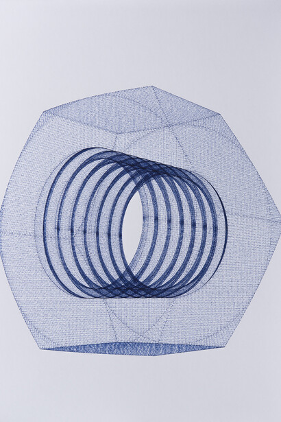 Michael DeLucia, Nut, 2014, Dessin analogique, Plotted drawing, ink on paper, 67,6 x 52,6 x 3 cm encadré (26 5/8 x 20 3/4 x 1 1/8 in.) framed, Courtesy Michael DeLucia & Galerie Nathalie Obadia Paris / Brussels © We Document Art