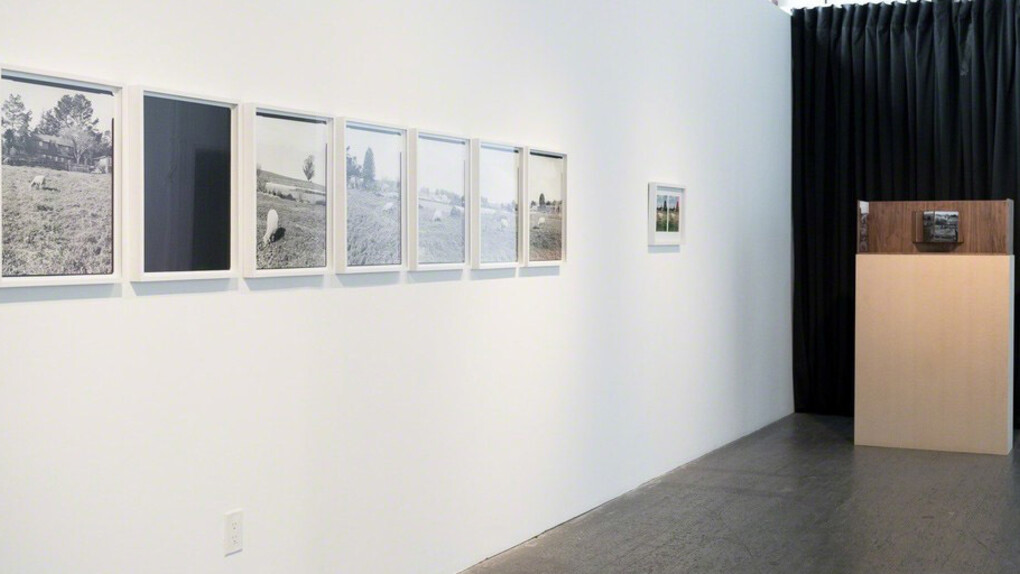 Cloned. Courtesy of Gallery 16