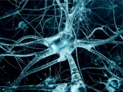 Sinapsis neuronales
