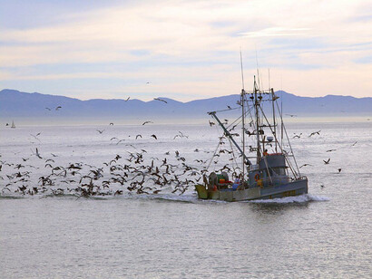 Pesca d'altura