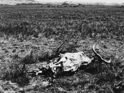 Hamish Fulton A Walking Artist. Courtesy of Bergamin & Gomide