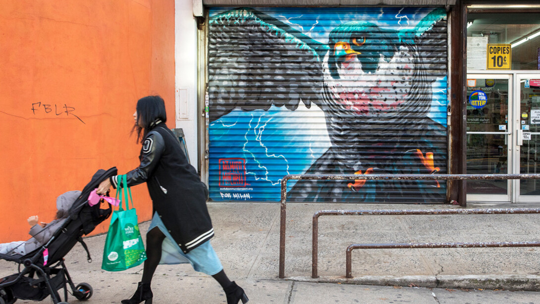 Audubon’s Birds of America Focus Gallery. Courtesy of New-York Historical Society