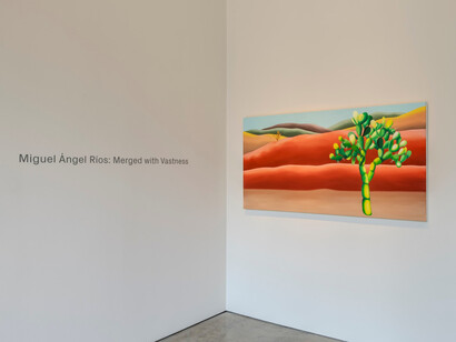 Miguel Angel Rios, Merged with vastness, exhibition view. Courtesy of Sicardi | Ayers | Bacino Gallery