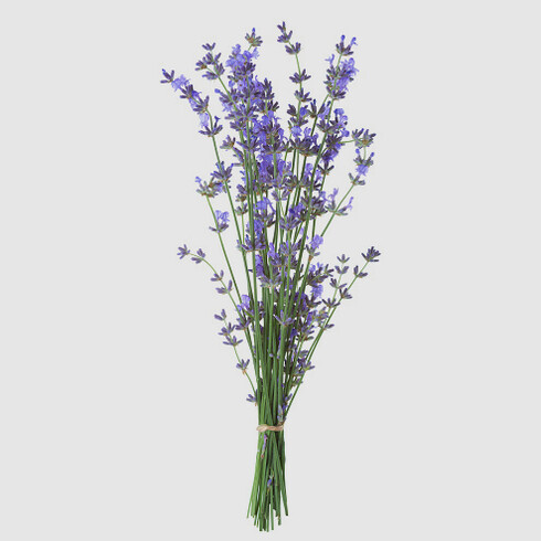 La lavanda rilassa