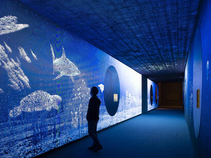 Somos agua, vista de la exposición, Fundación Canal, Madrid. Courtesy of Fundación Canal