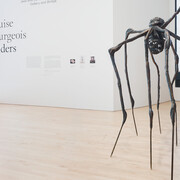 Louise Bourgeois Spiders. Courtesy of San Francisco Museum of Modern Art