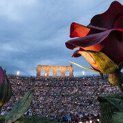 Arena, 2015 © Foto Ennevi