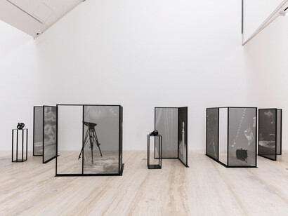 Scripted Reality. Courtesy of Museo Jumex